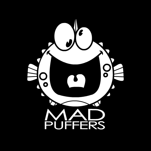 Who Made Moto X3M? MadPuffers Is Behind It 3 MadPuffers Studio Profile